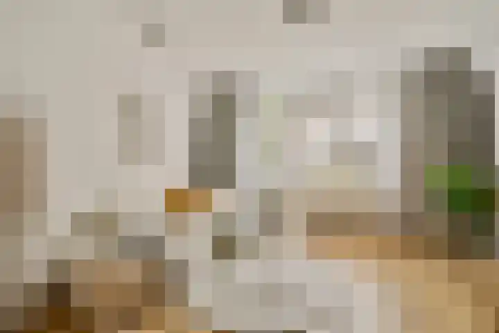 Vincent van Goghstraat 113 Amsterdam thumbnail 4