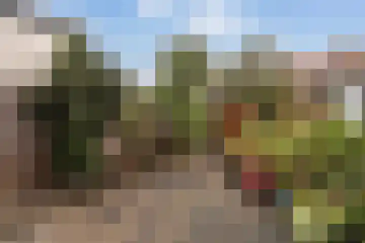 Vincent van Goghstraat 12 Dordrecht thumbnail 17