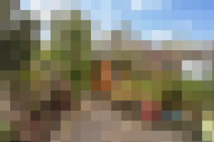 Vincent van Goghstraat 12 Dordrecht thumbnail 18