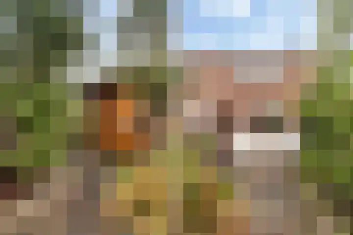 Vincent van Goghstraat 12 Dordrecht thumbnail 20