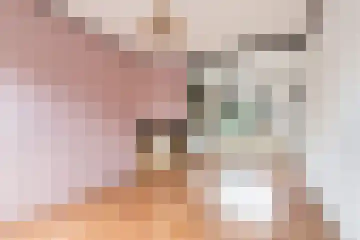 Vincent van Goghstraat 12 Dordrecht thumbnail 5