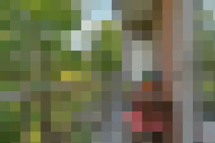 Vincent van Goghstraat 123 Amsterdam thumbnail 17