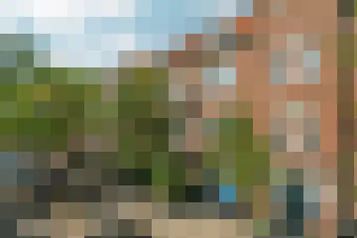 Vincent van Goghstraat 123 Amsterdam thumbnail 31
