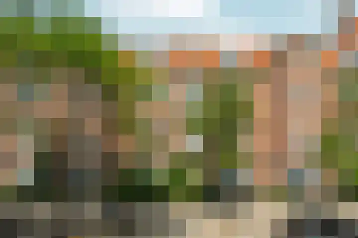 Vincent van Goghstraat 123 Amsterdam thumbnail 32