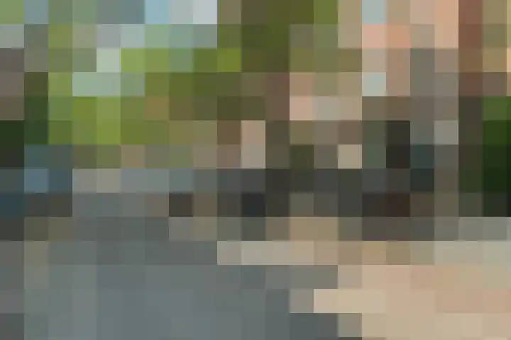 Vincent van Goghstraat 123 Amsterdam thumbnail 33