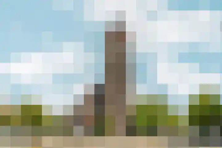 Vincent van Goghstraat 123 Amsterdam thumbnail 34