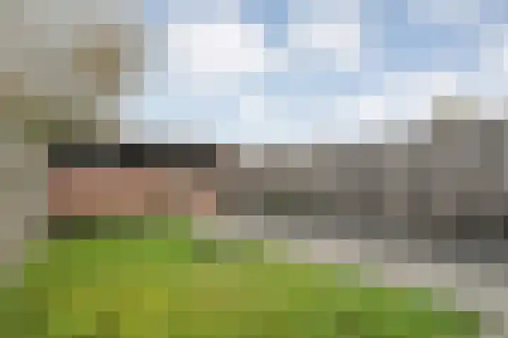 Vincent van Goghstraat 13 Coevorden thumbnail 28