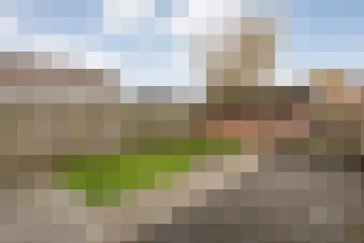 Vincent van Goghstraat 13 Coevorden thumbnail 29
