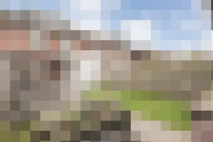 Vincent van Goghstraat 13 Coevorden thumbnail 31