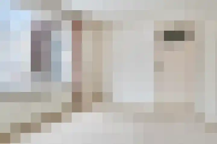 Vincent van Goghstraat 13 Tilburg thumbnail 18