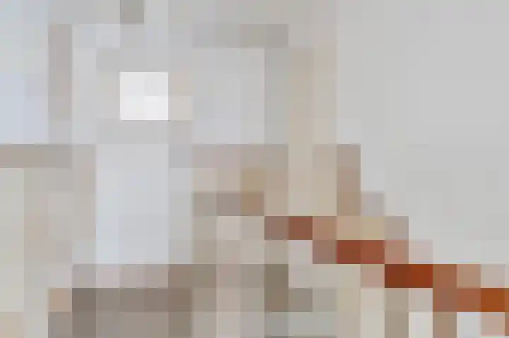 Vincent van Goghstraat 13 Tilburg thumbnail 19
