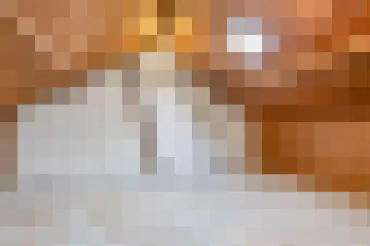 Vincent van Goghstraat 13 Tilburg thumbnail 26