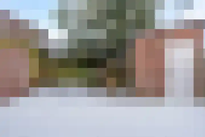 Vincent van Goghstraat 13 Tilburg thumbnail 30