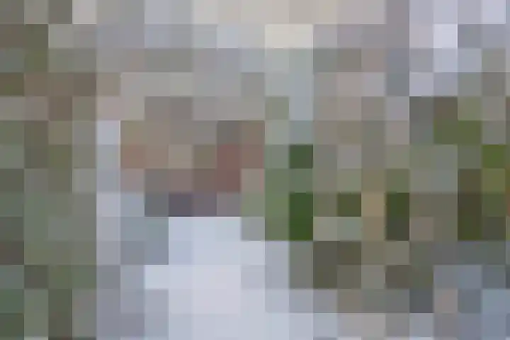 Vincent van Goghstraat 13 Tilburg thumbnail 31
