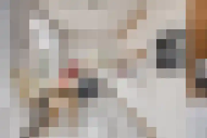 Vincent van Goghstraat 13 Veghel thumbnail 11