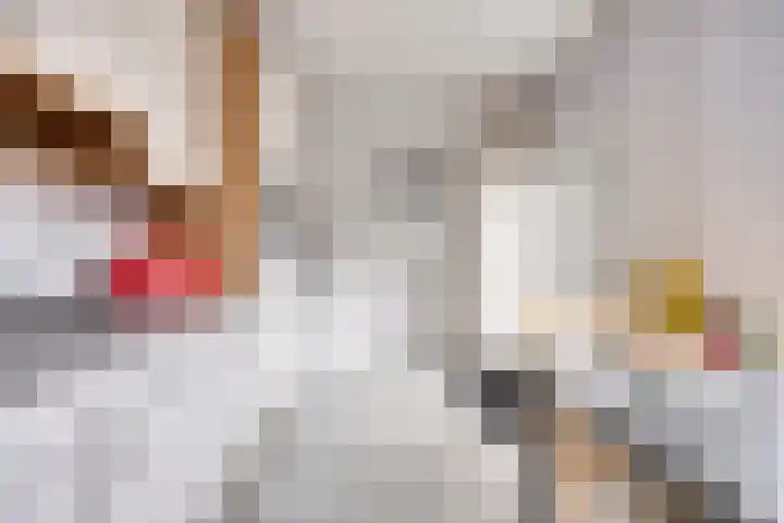 Vincent van Goghstraat 13 Veghel thumbnail 12