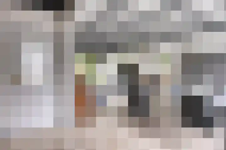 Vincent van Goghstraat 13 Veghel thumbnail 5