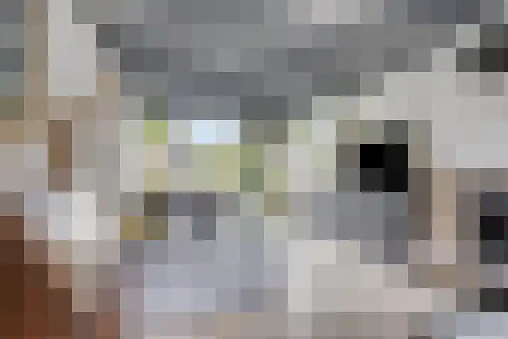 Vincent van Goghstraat 13 Veghel thumbnail 6