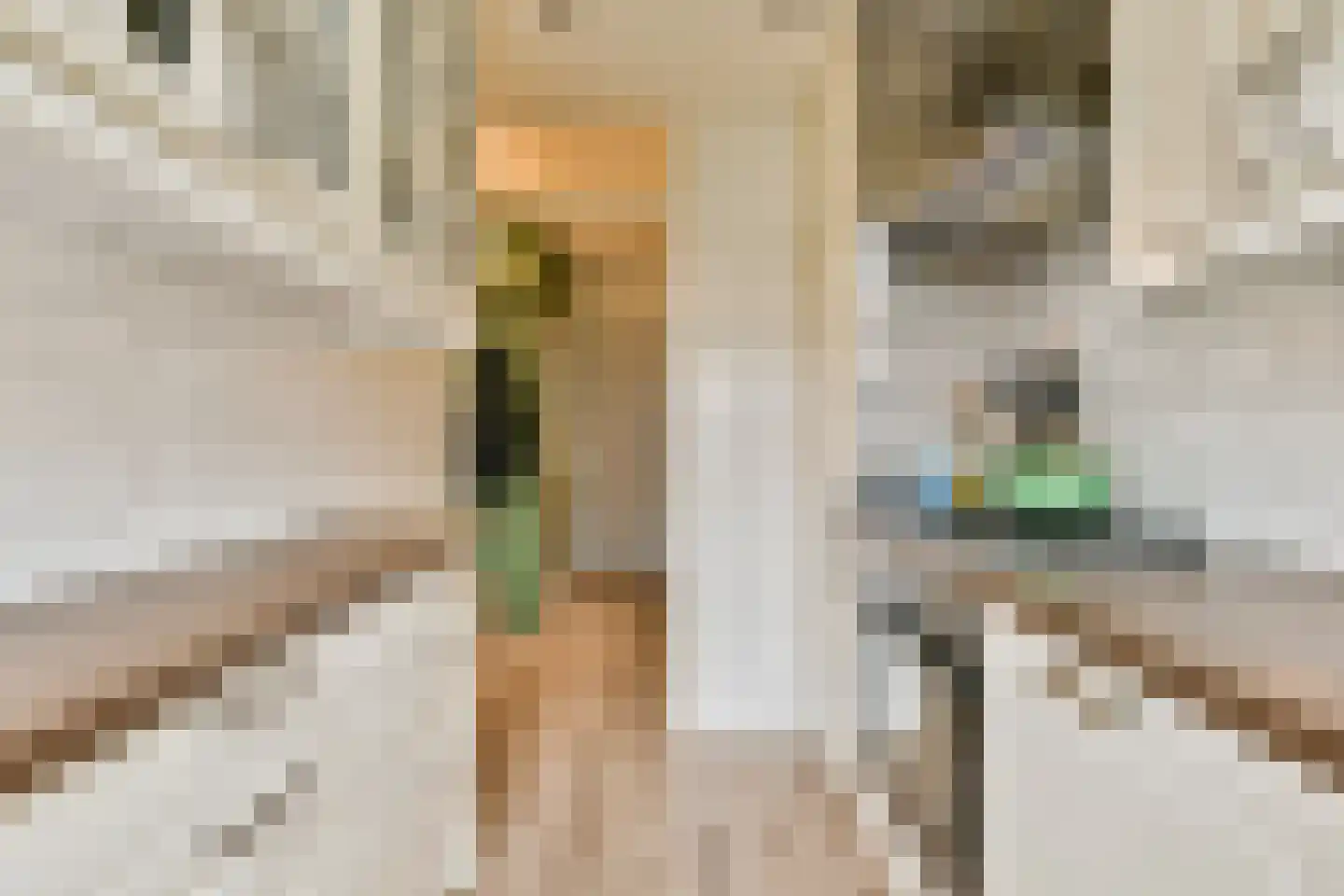 Vincent van Goghstraat 147 Amsterdam thumbnail 5