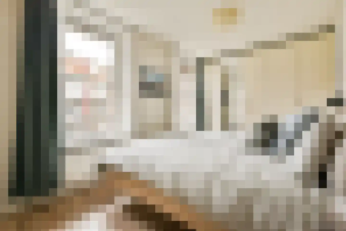Vincent van Goghstraat 147 Amsterdam thumbnail 7