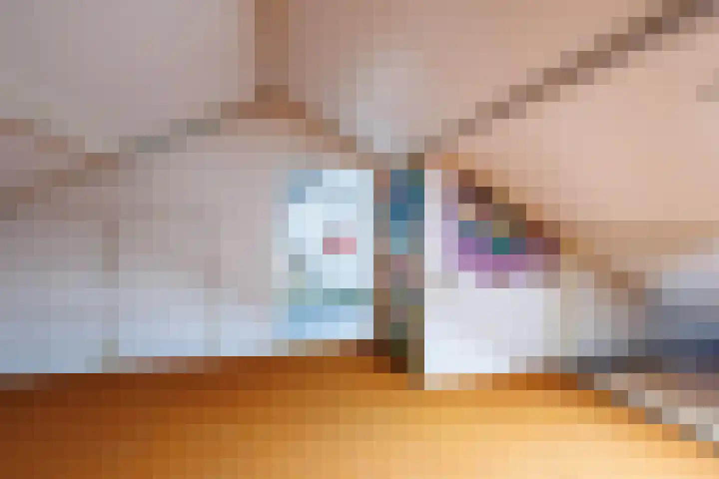 Vincent van Goghstraat 15 Bergen L thumbnail 22