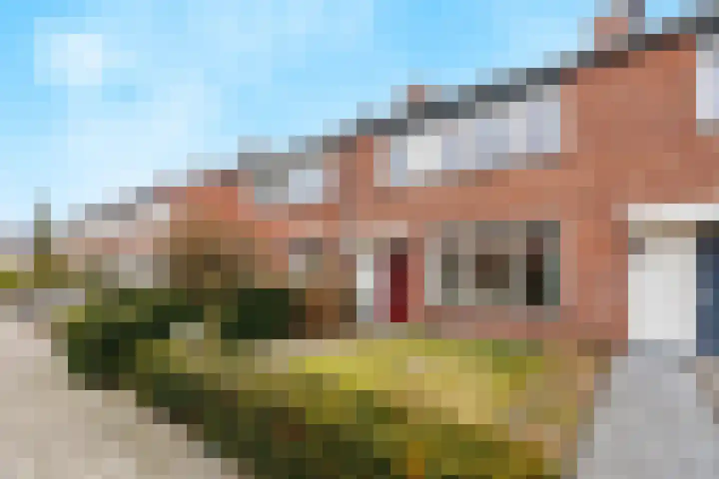 Vincent van Goghstraat 15 Bergen L thumbnail 30