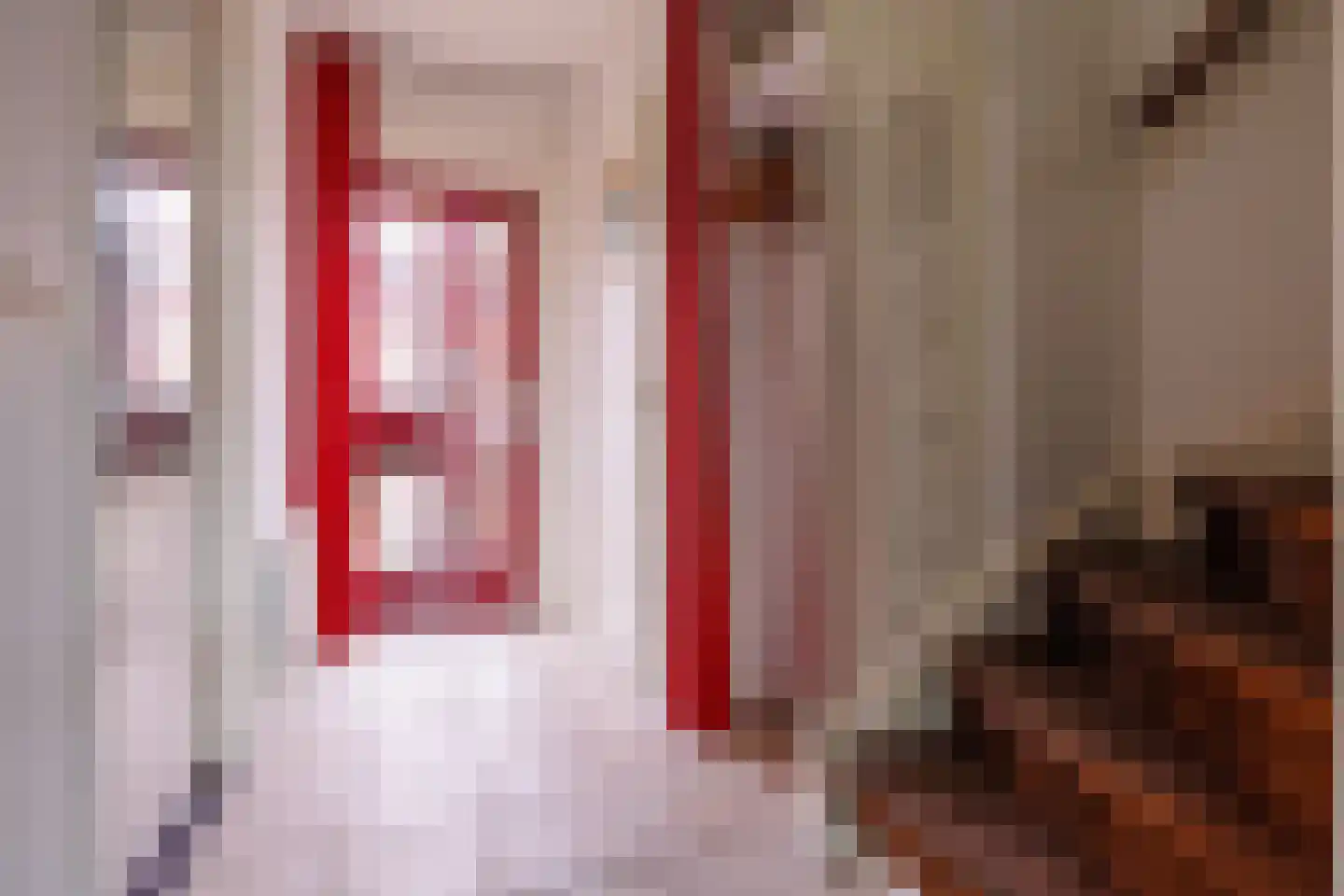 Vincent van Goghstraat 15 Bergen L thumbnail 5