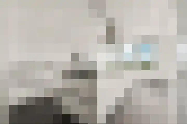 Vincent van Goghstraat 156 Almere thumbnail 14