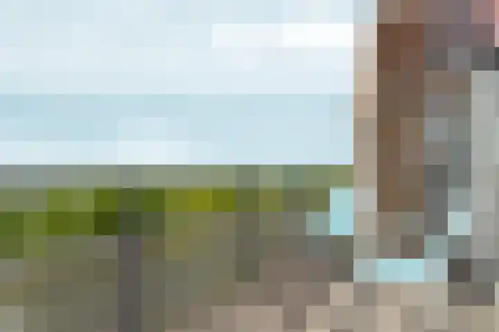 Vincent van Goghstraat 156 Almere thumbnail 19
