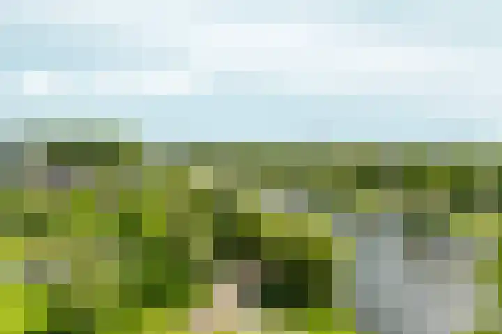 Vincent van Goghstraat 156 Almere thumbnail 20