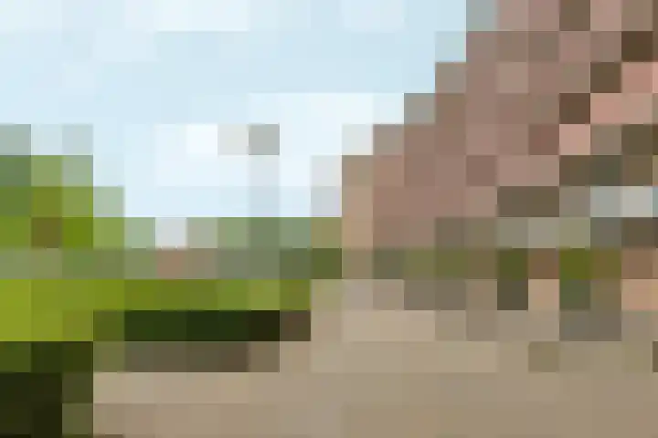 Vincent van Goghstraat 156 Almere thumbnail 24