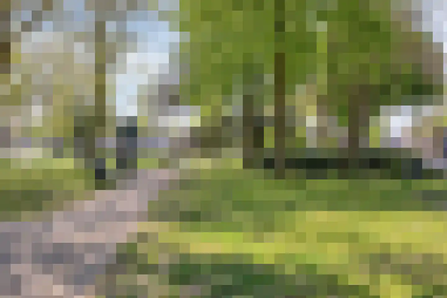 Vincent van Goghstraat 157 Nuenen thumbnail 24