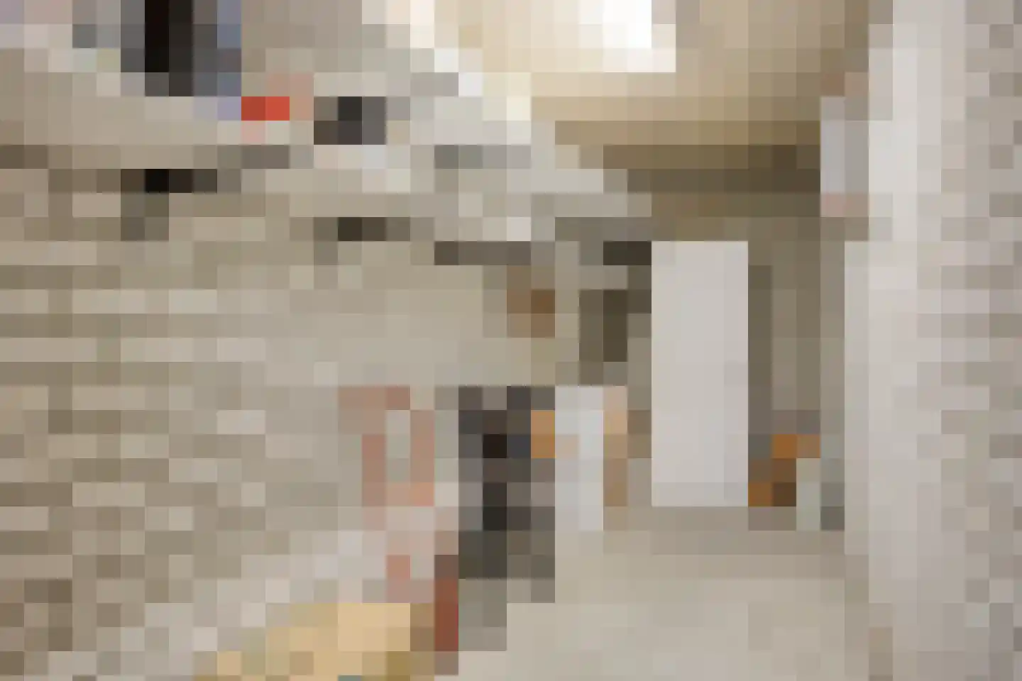Vincent van Goghstraat 159 Nuenen thumbnail 23