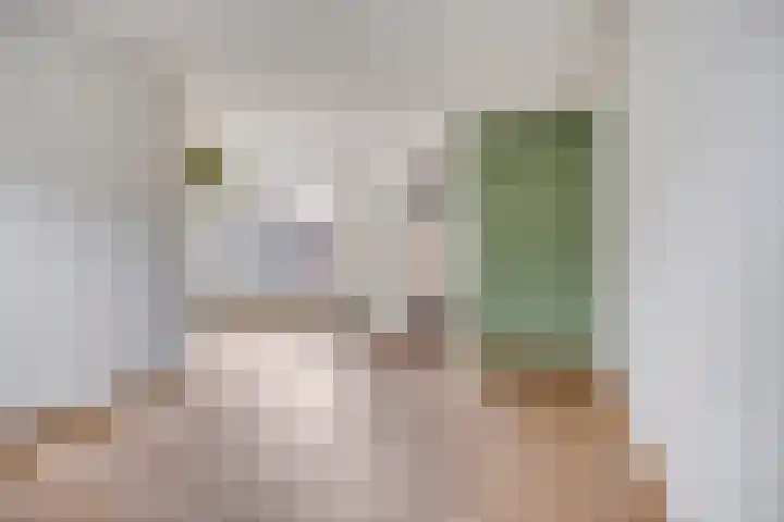 Vincent van Goghstraat 16 Bergen L thumbnail 13
