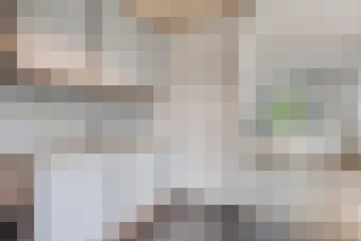 Vincent van Goghstraat 16 Bergen L thumbnail 17