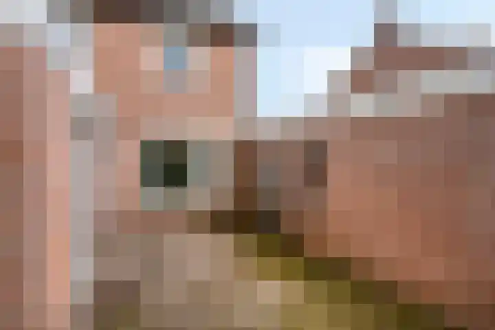 Vincent van Goghstraat 16 Bergen L thumbnail 27
