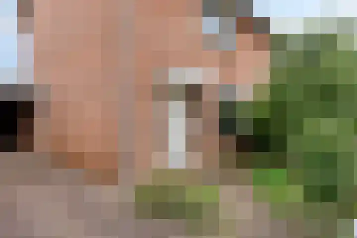 Vincent van Goghstraat 16 Bergen L thumbnail 30