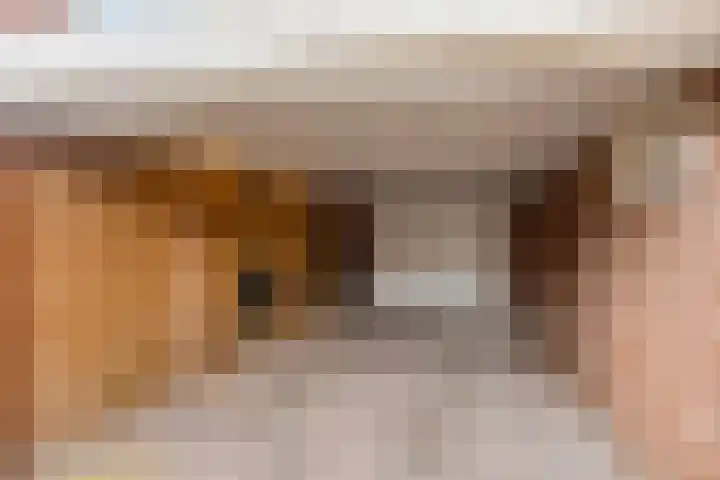 Vincent van Goghstraat 16 Bergen L thumbnail 32