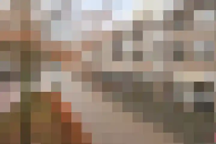 Vincent van Goghstraat 163 Nuenen thumbnail 26