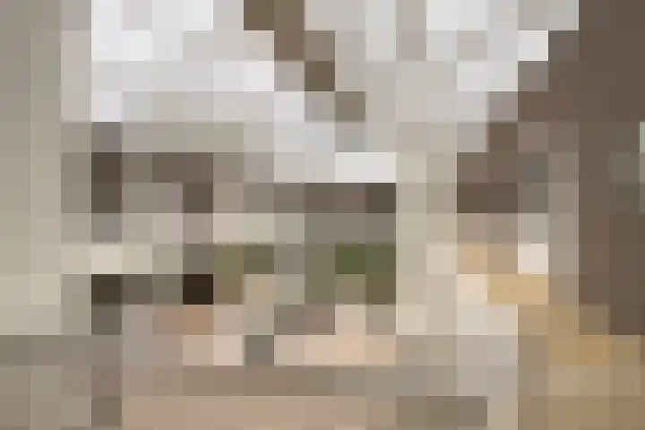 Vincent van Goghstraat 163 Nuenen thumbnail 5