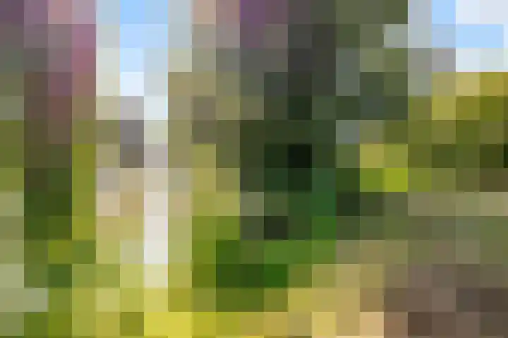 Vincent van Goghstraat 168 Almere thumbnail 35
