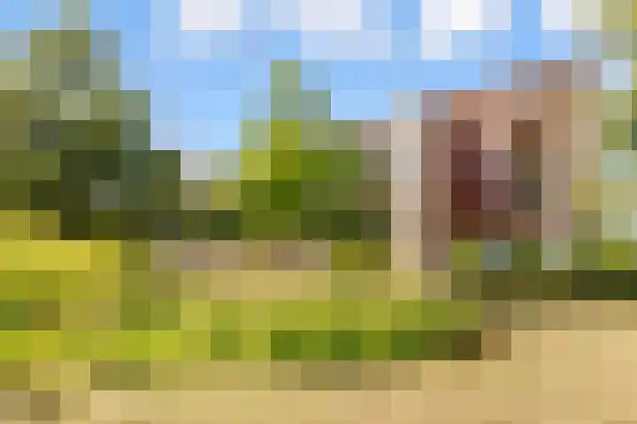 Vincent van Goghstraat 168 Almere thumbnail 4