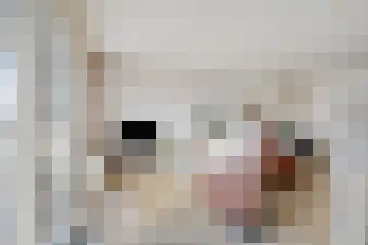 Vincent van Goghstraat 169 Nuenen thumbnail 10