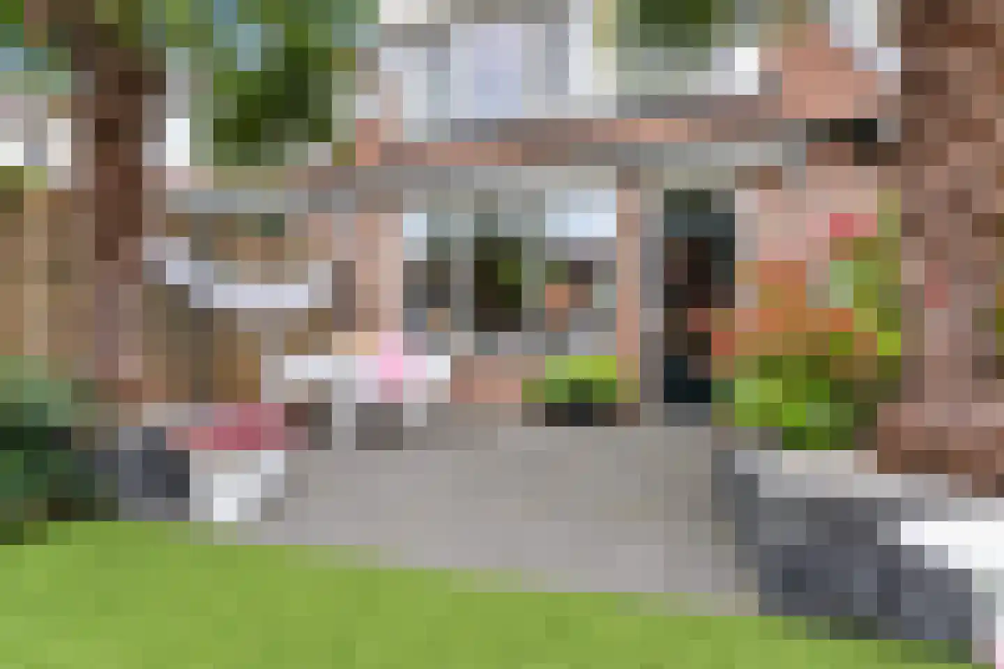 Vincent van Goghstraat 17 Baarn thumbnail 5