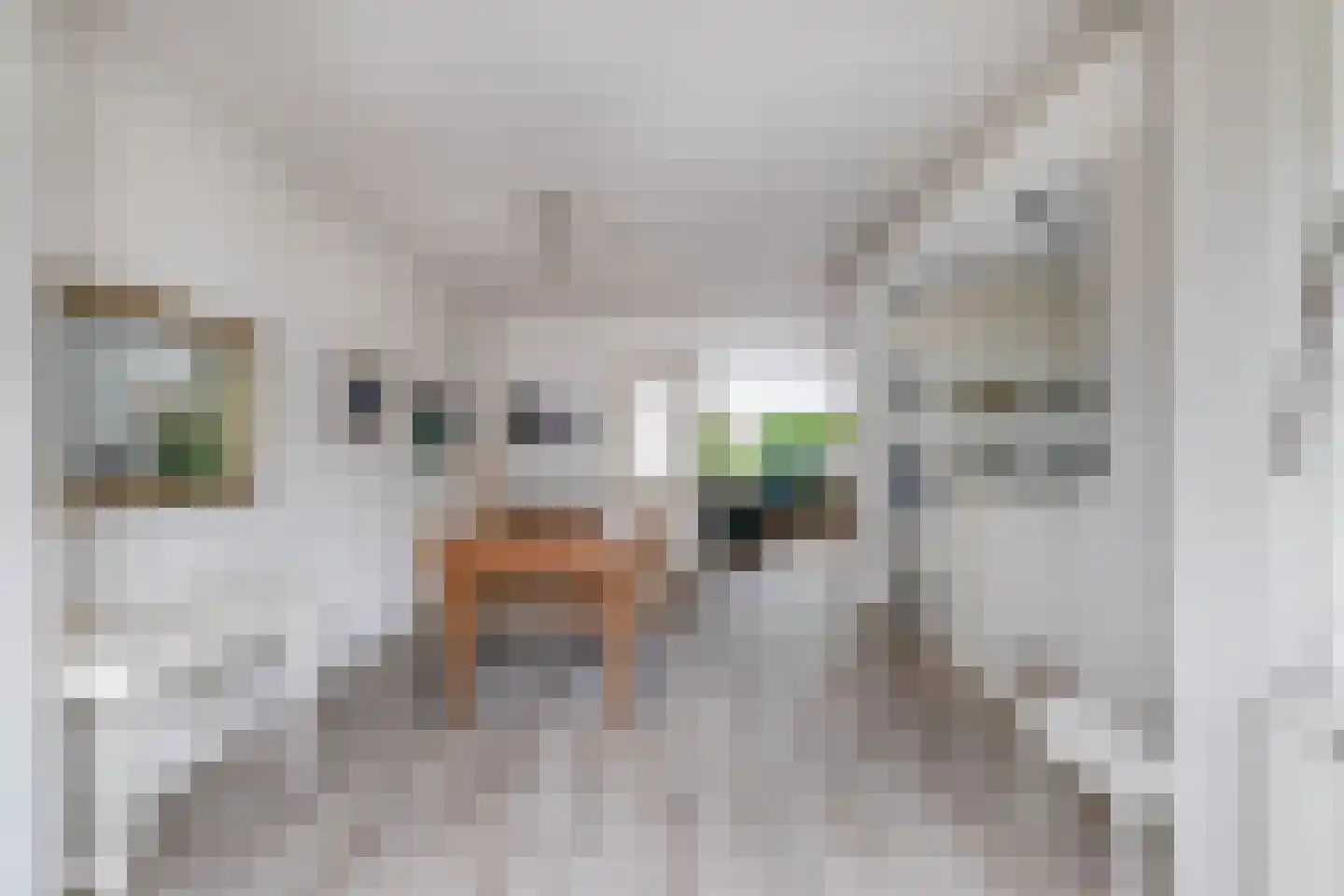 Vincent van Goghstraat 17 Lisse thumbnail 13