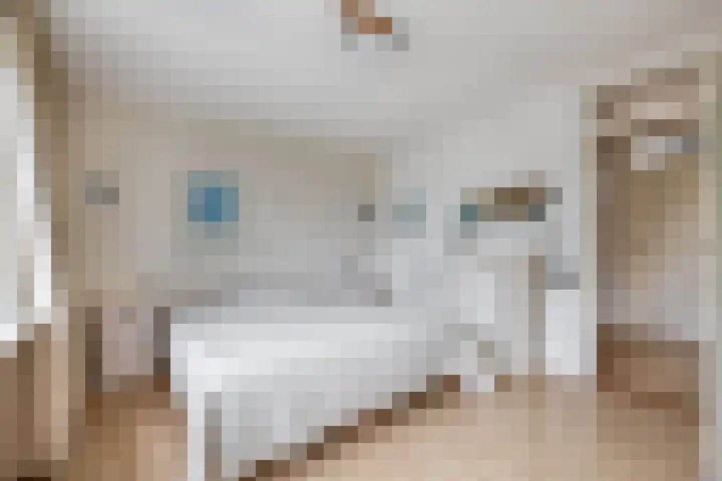 Vincent van Goghstraat 17 Lisse thumbnail 25
