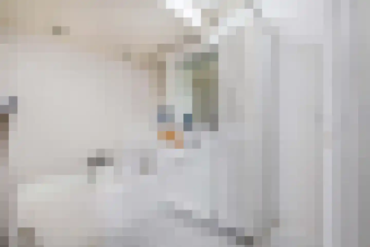 Vincent van Goghstraat 17 Lisse thumbnail 27