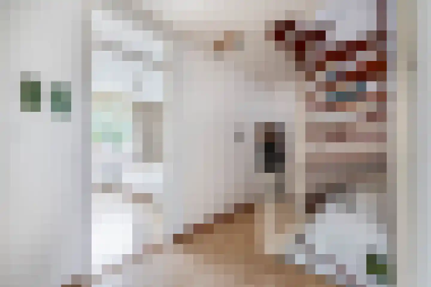 Vincent van Goghstraat 17 Lisse thumbnail 32
