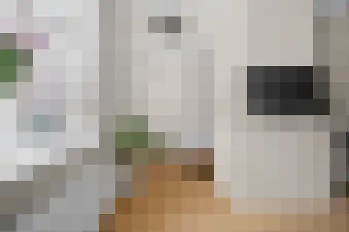 Vincent van Goghstraat 171 Amsterdam thumbnail 12