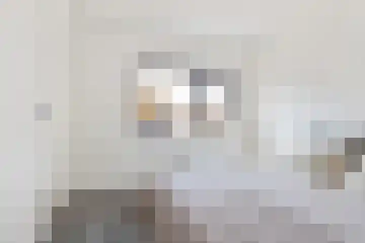 Vincent van Goghstraat 18 Breda thumbnail 16